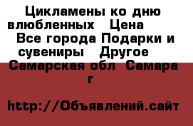 Цикламены ко дню влюбленных › Цена ­ 180 - Все города Подарки и сувениры » Другое   . Самарская обл.,Самара г.